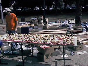 Etrog Vendor