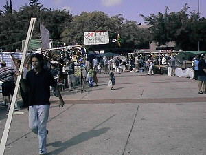 Sukot, Lulav, Etrog and Sukot Decorations Market